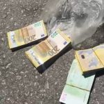 12 Punto